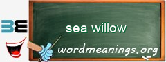 WordMeaning blackboard for sea willow